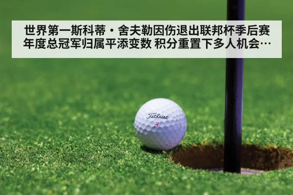 世界第一斯科蒂·舍夫勒因伤退出联邦杯季后赛 年度总冠军归属平添变数 积分重置下多人机会大增