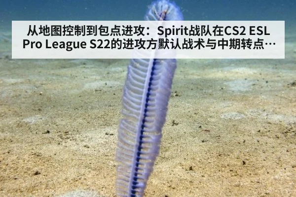 从地图控制到包点进攻：Spirit战队在CS2 ESL Pro League S22的进攻方默认战术与中期转点决策深度解析